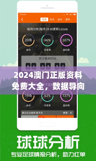 2024新澳开奖记录,高速计划响应执行_挑战款91.733