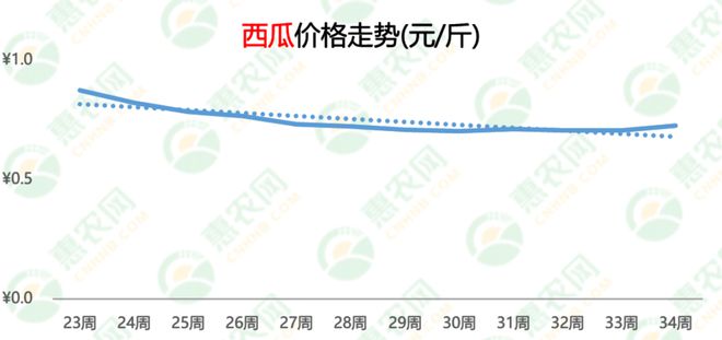 今日西瓜批发价格行情及分析概览